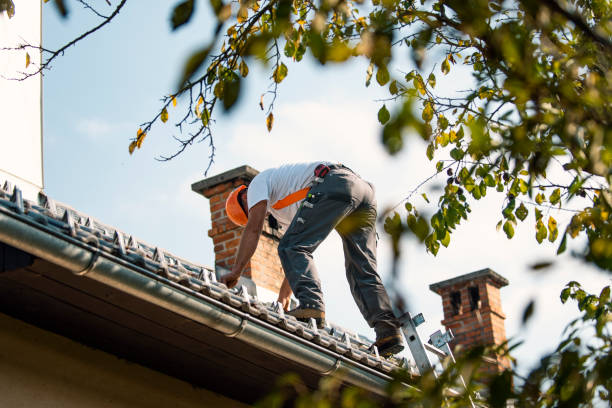 Professional Roofing Contractor in Sterling City, TX
